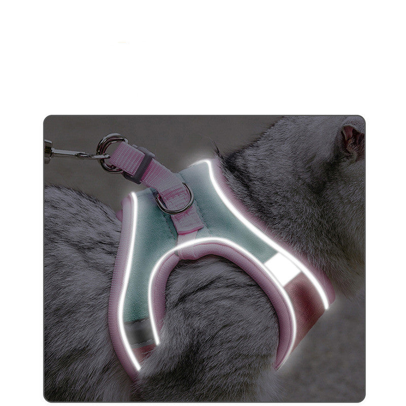 Cat Harness