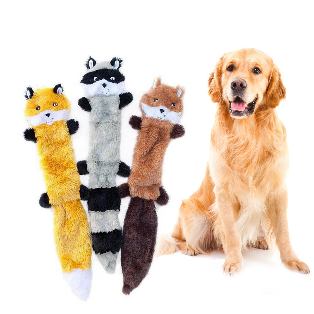 Pet toy