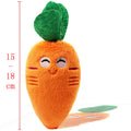 Pet toy