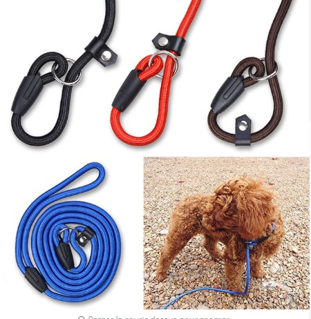 Dog Leash