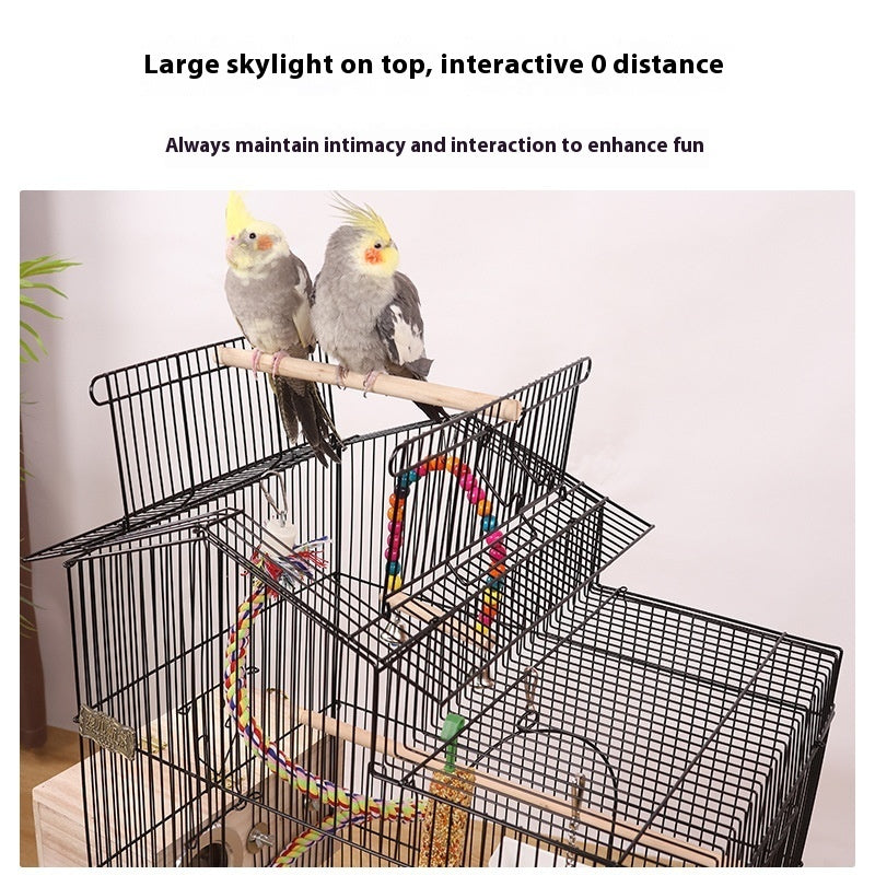 Bird Cage