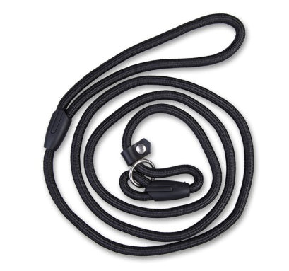 Dog Leash