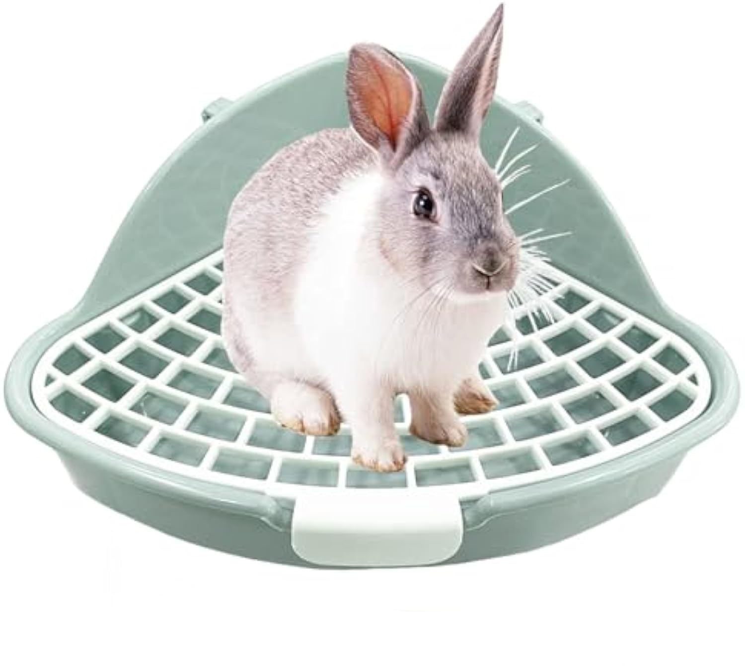 Rabbit Litter Box